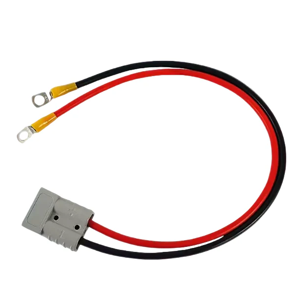 50A Anderson style Plug to M8 Terminal Battery Charging Cable – 12V/24V